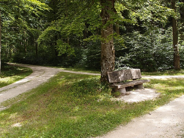 Bild Nr. 24